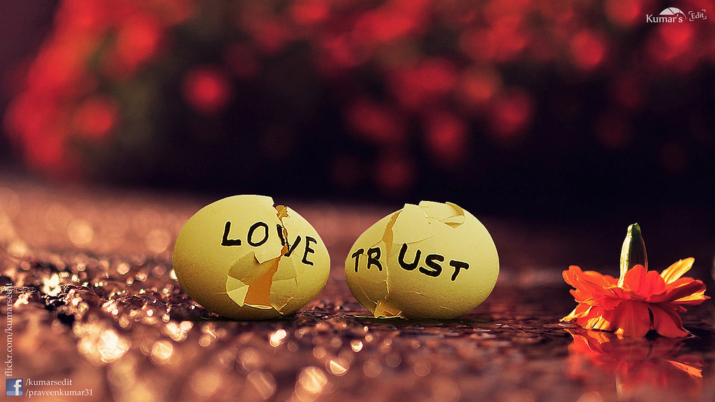 love trust crash with adrenaline