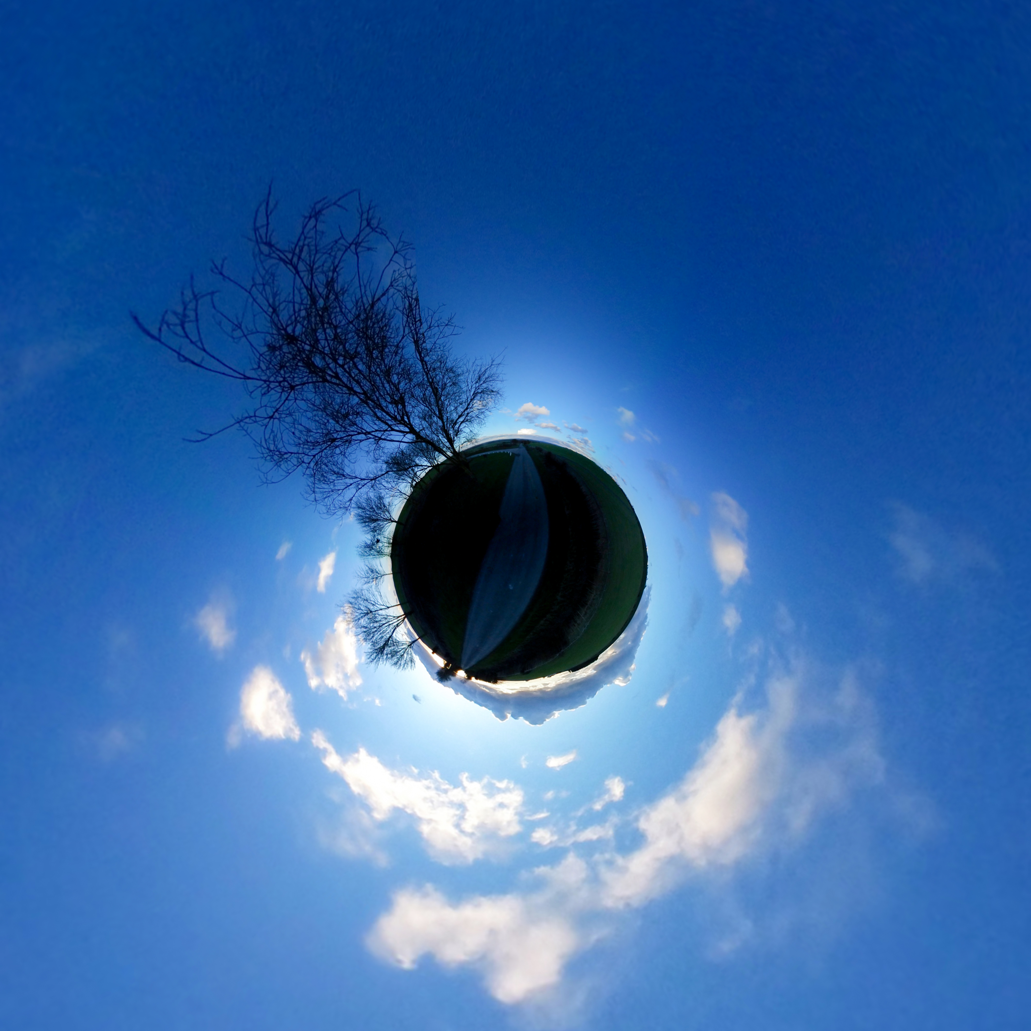 distorted 360 photo of a road travelling around green sphere and a t-junction that turns left around a tall bar tree