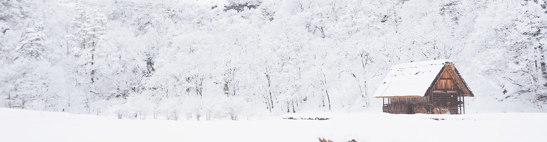 dreaming of a white Christmas