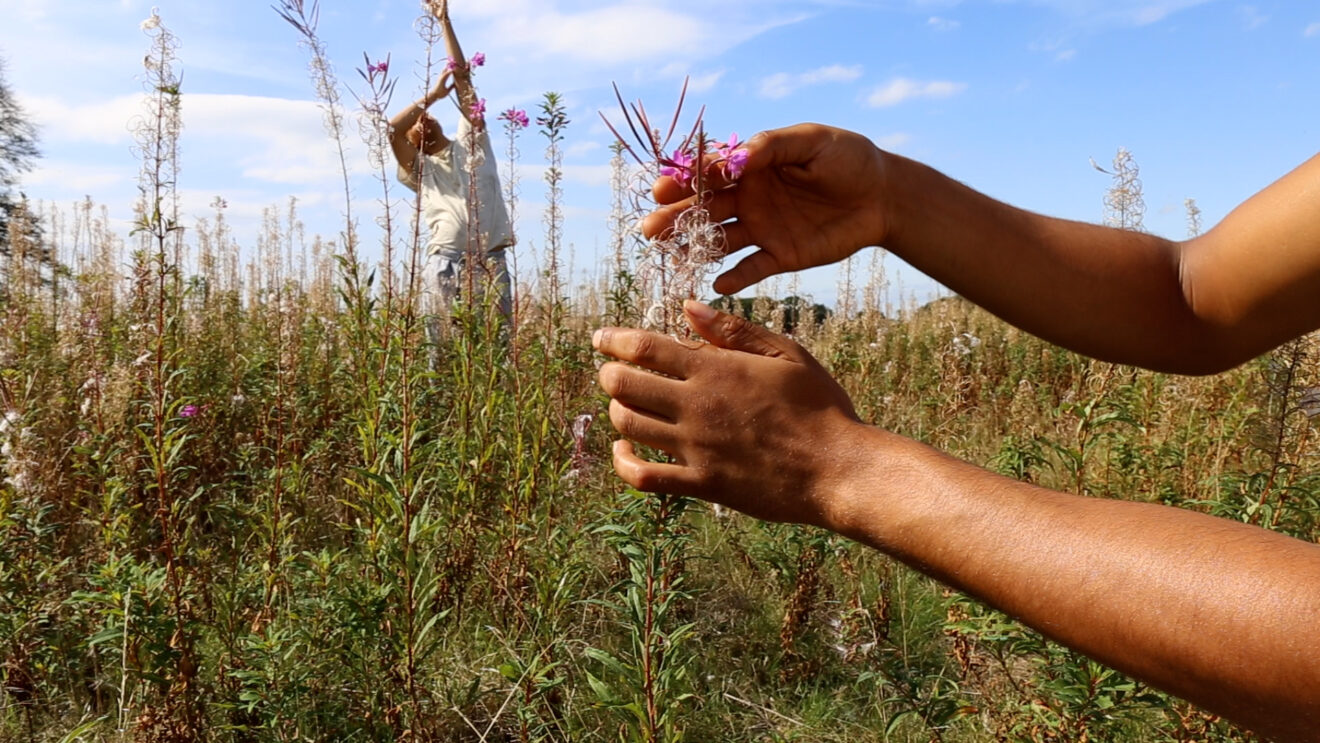 Still from The air is subtle, various and sweet (2020) by Adham Faramawy
