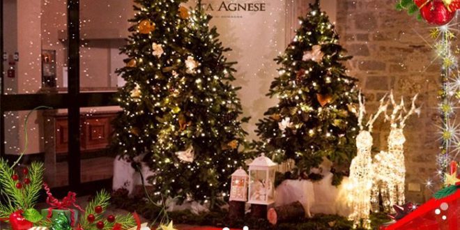 Offerte di Natale Terme Santa Agnese Bagno di Romagna - Offerte ... Offerte di Natale Terme Santa Agnese Bagno di Romagna - Offerte ...