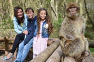 You can walk with free-roaming monkeys in a forest only an hour from Manchester
