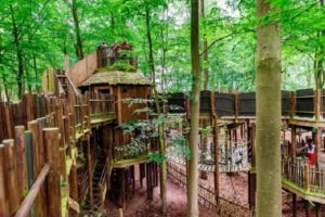 A magical new woodland theme park is opening in the North West