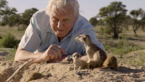 Sir David Attenborough honoured with second knighthood