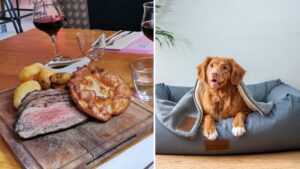 Get bottomless Sunday roasts for you and your dog at this Manchester restaurant