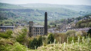A huge 50 million-tree forest is being planted across the North of England