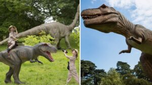 Dino Kingdom is bringing more than 100 animatronic, life-like dinosaurs to Manchester