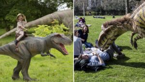 Tickets for immersive Dino Kingdom experience are on sale now