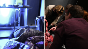The UK’s first ever live post-mortem experience is coming to Manchester this year