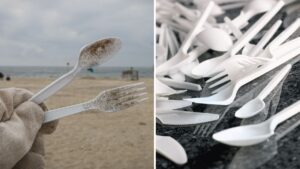 Plastic knives, forks, and plates could soon join plastic straws in being banned in England