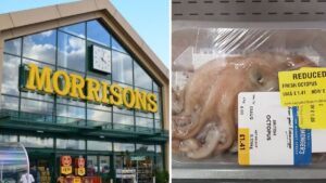 Shopper outraged at ‘baby’ octopus on sale for 36p in a Salford Morrisons