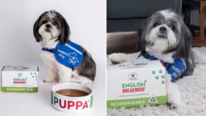 PG Tips launches new ‘English Breakwoof’ tea especially for dogs