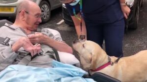 Manchester care home resident reunited with his beloved dog after two years of separation