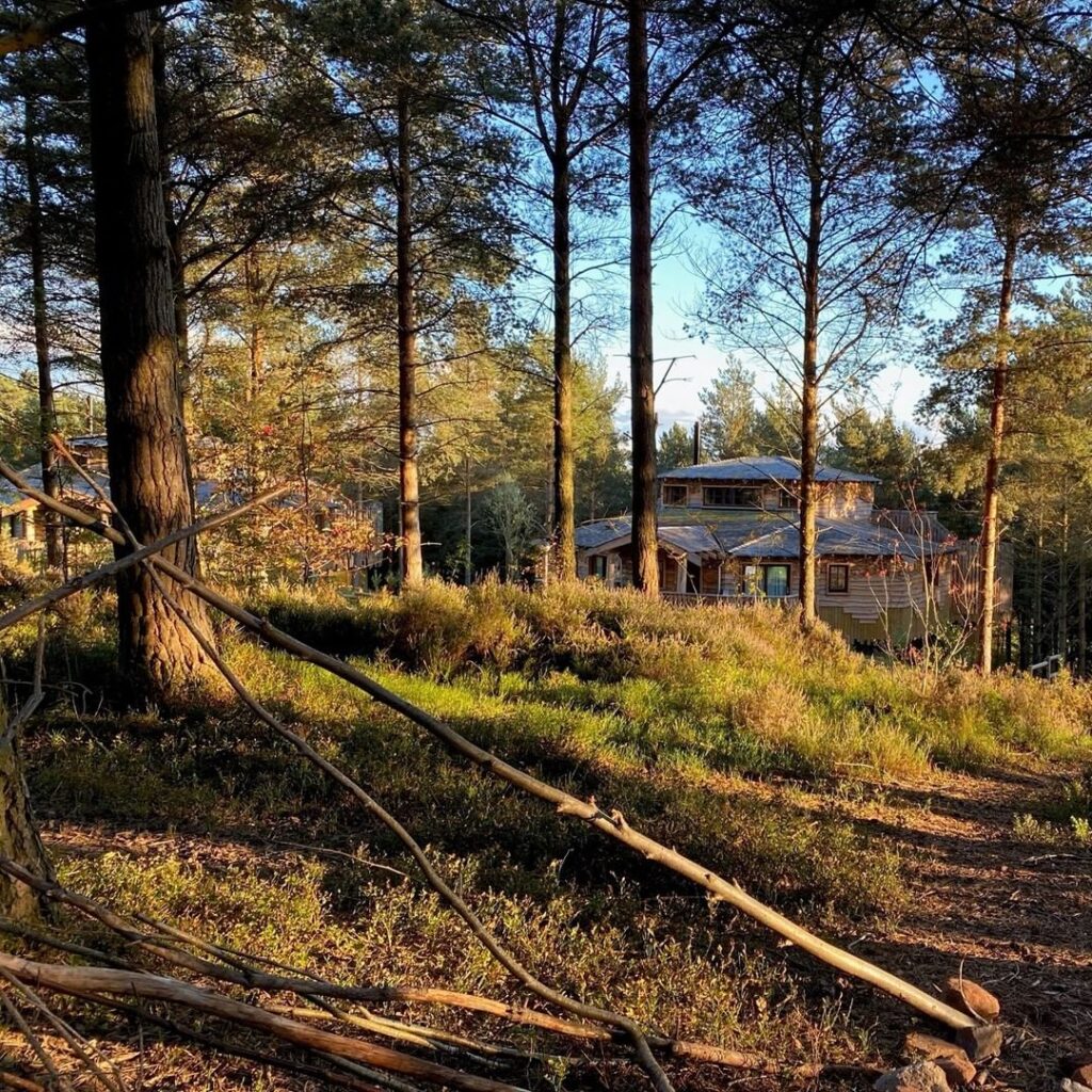 Center Parcs permanently cancel firework displays to protect wildlife