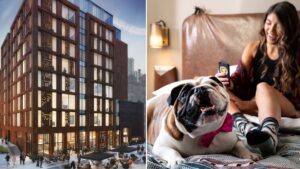 NEW OPENING: A huge hotel with free cocktails and pet-friendly bedrooms is coming to Manchester