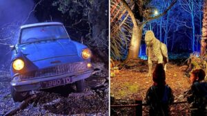 The magical Harry Potter Forbidden Forest experience is now open and it looks incredible