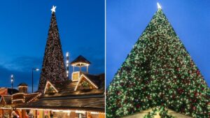 UK’s tallest Christmas tree with 100,000 baubles unveiled and it’s under an hour from Manchester