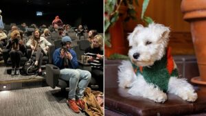 The world’s first dog-friendly cinema with ‘pawpcorn’ and dog treats has opened in Manchester