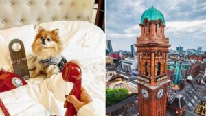 This hotel is looking for Manchester’s cutest pet and the winner gets a free stay