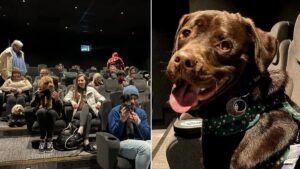 A FREE dog cinema with ‘pawpcorn’ and treats is coming to Manchester