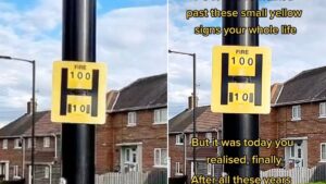 People are only just realising what the yellow ‘H’ signs on lamp posts are for