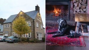 Greater Manchester pub bans dogs after staff member bitten on shift