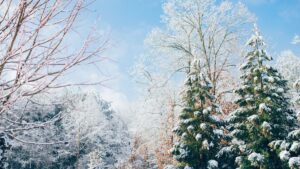 UK set for first white Christmas in 12 years according to new long-range forecasts