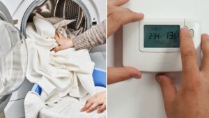 Households could be paid up to £100 to use less energy from today