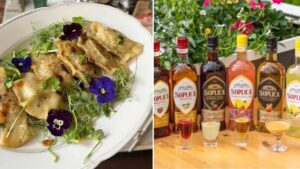 A huge FREE Polish dumpling and vodka festival coming to Manchester next week