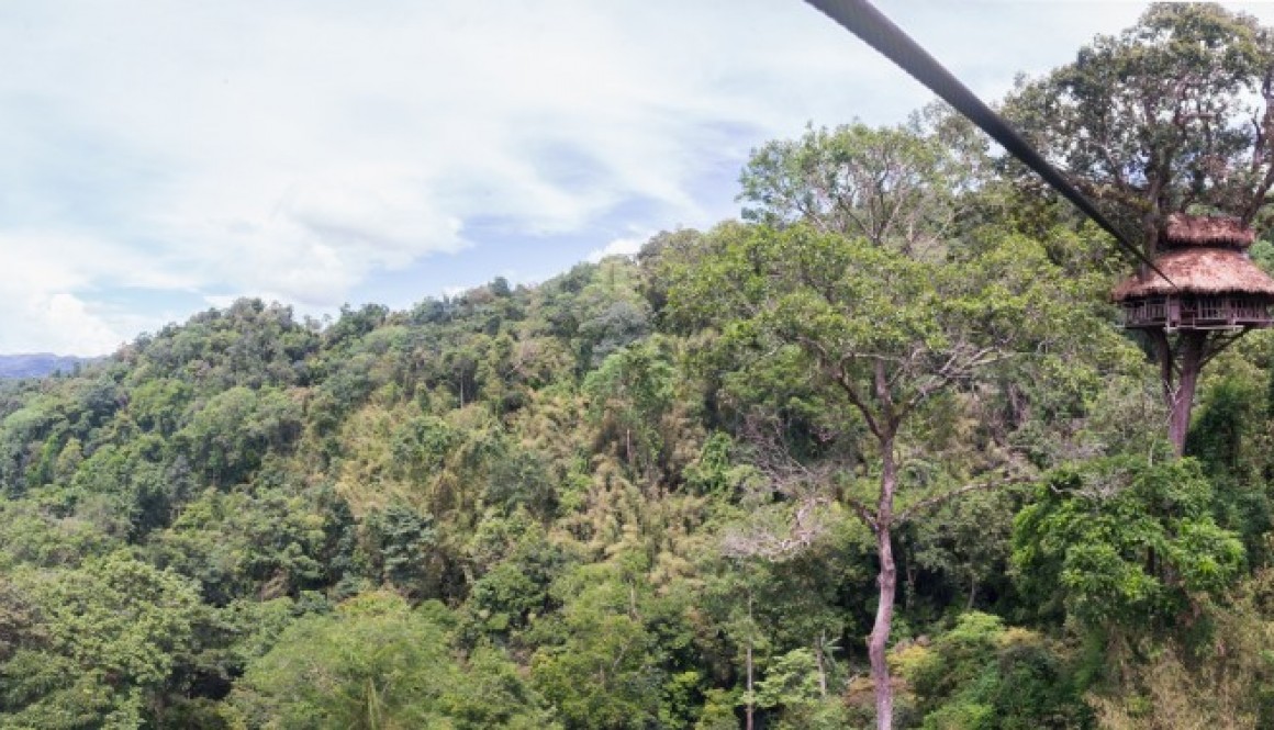 Behind the Camera : The Gibbon Experience in Laos