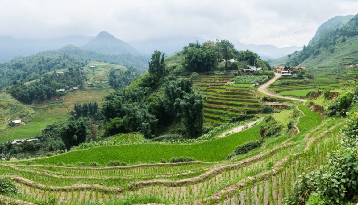 Behind the Camera : The Rice Fields of Sapa