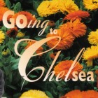 Going to Chelsea