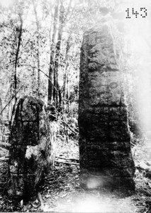 Xultun Stela 3 (left) and Stela 22 in situ. Stela 3 was looted by 1974 and its current location is unknown (Carnegie Institute)