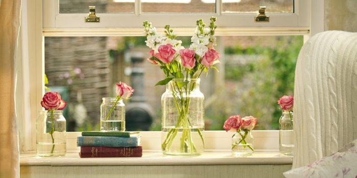 Natural ways to purify the air in your home PICTURE 1