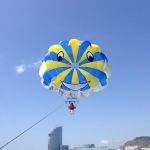 2016_ParacasAzulAmarillo_IMG_0059