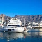 1539425958tigger-2-charters-cape-town-8
