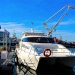 1539425991tigger-2-charters-cape-town-3