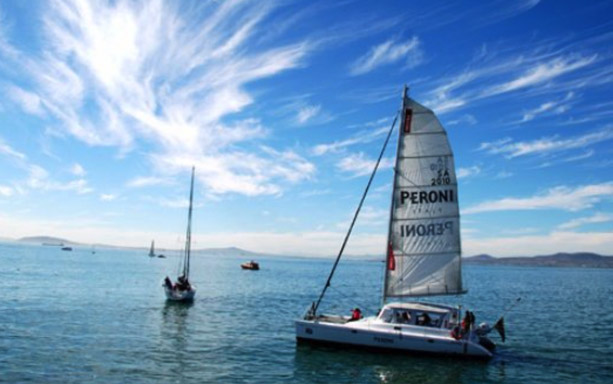 IQ Catamaran