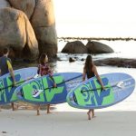 1527254925free-dive-cape-town-adrenalised-diving