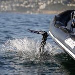 1527255267scuba-dive-adrenalised