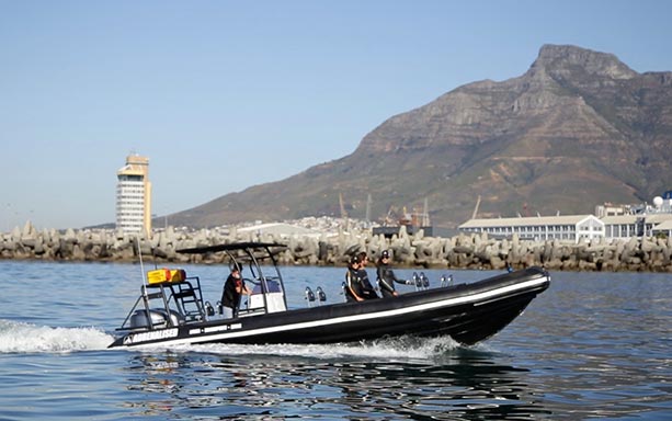 1 or 2 rib boat dive Cape Town