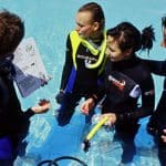 1534249685PADI-discover-scuba-diving-v-and-a-waterfront-cape-town
