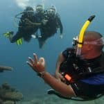 1534249718PADI-discover-scuba-diving-v-and-a-waterfront-ocean-experiences-1