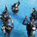 1533037128Rib-Boat-Dive-Cape-Town-Adrenalised-Diving