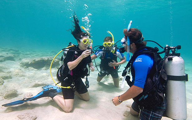 PADI Rescue Dive to Divemaster Package Cape Town