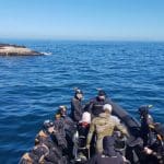1563457844seal-snorkeling-tours-cape-town-va-waterfront-things-to-do-in-cape-town-boat-tours5