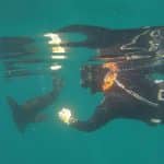 1563457878seal-snorkeling-tours-cape-town-va-waterfront-things-to-do-in-cape-town-boat-tours6