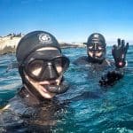 1563457977seal-snorkeling-tours-cape-town-va-waterfront-things-to-do-in-cape-town-boat-tours9