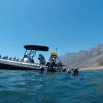 1563458007seal-snorkeling-tours-cape-town-va-waterfront-things-to-do-in-cape-town-boat-tours10