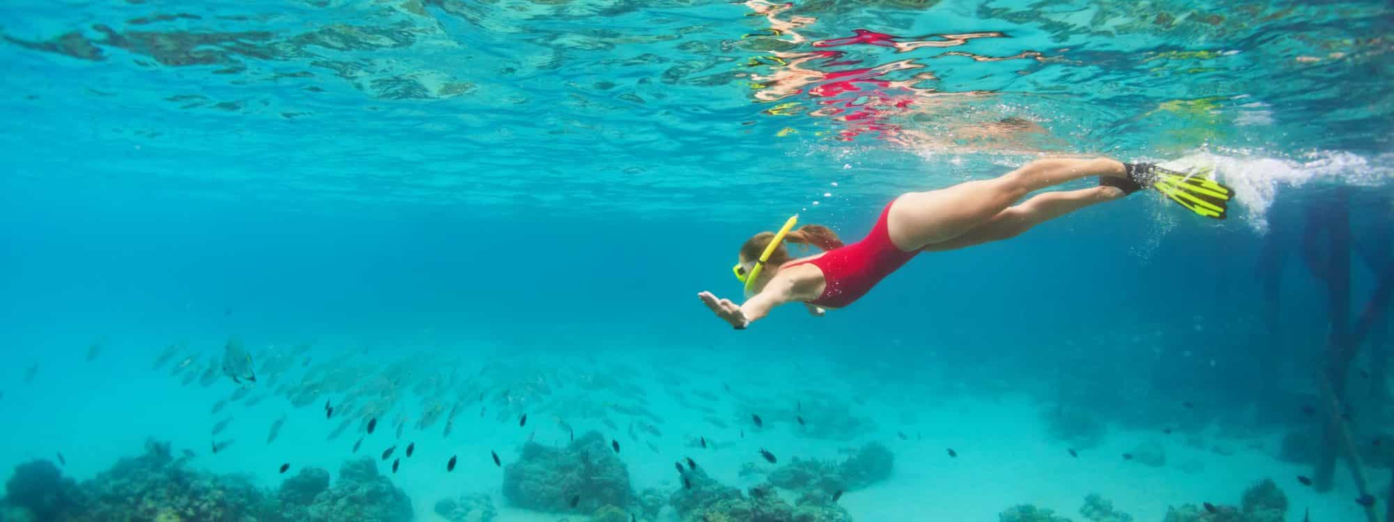 Best Snorkeling Tour In The Bahamas Aguadoo